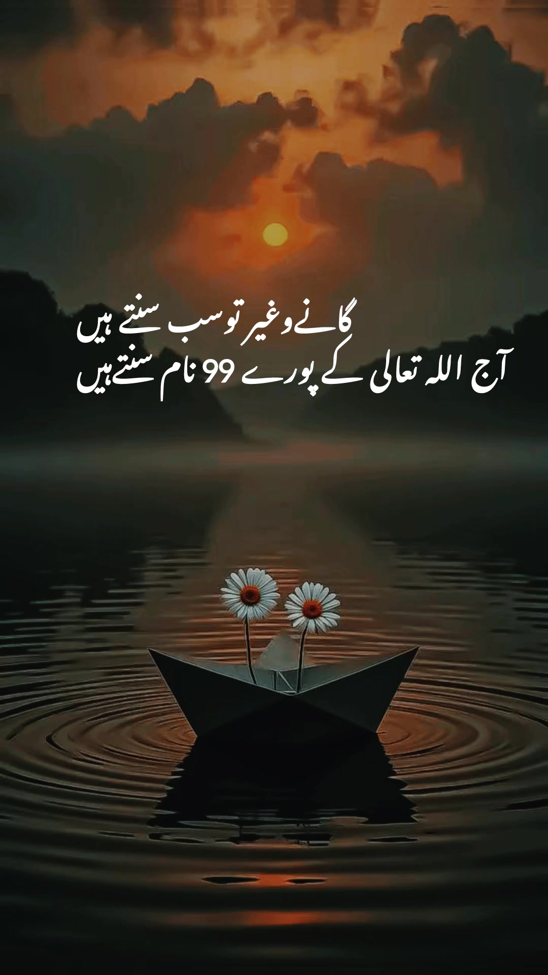 @habibausa1234