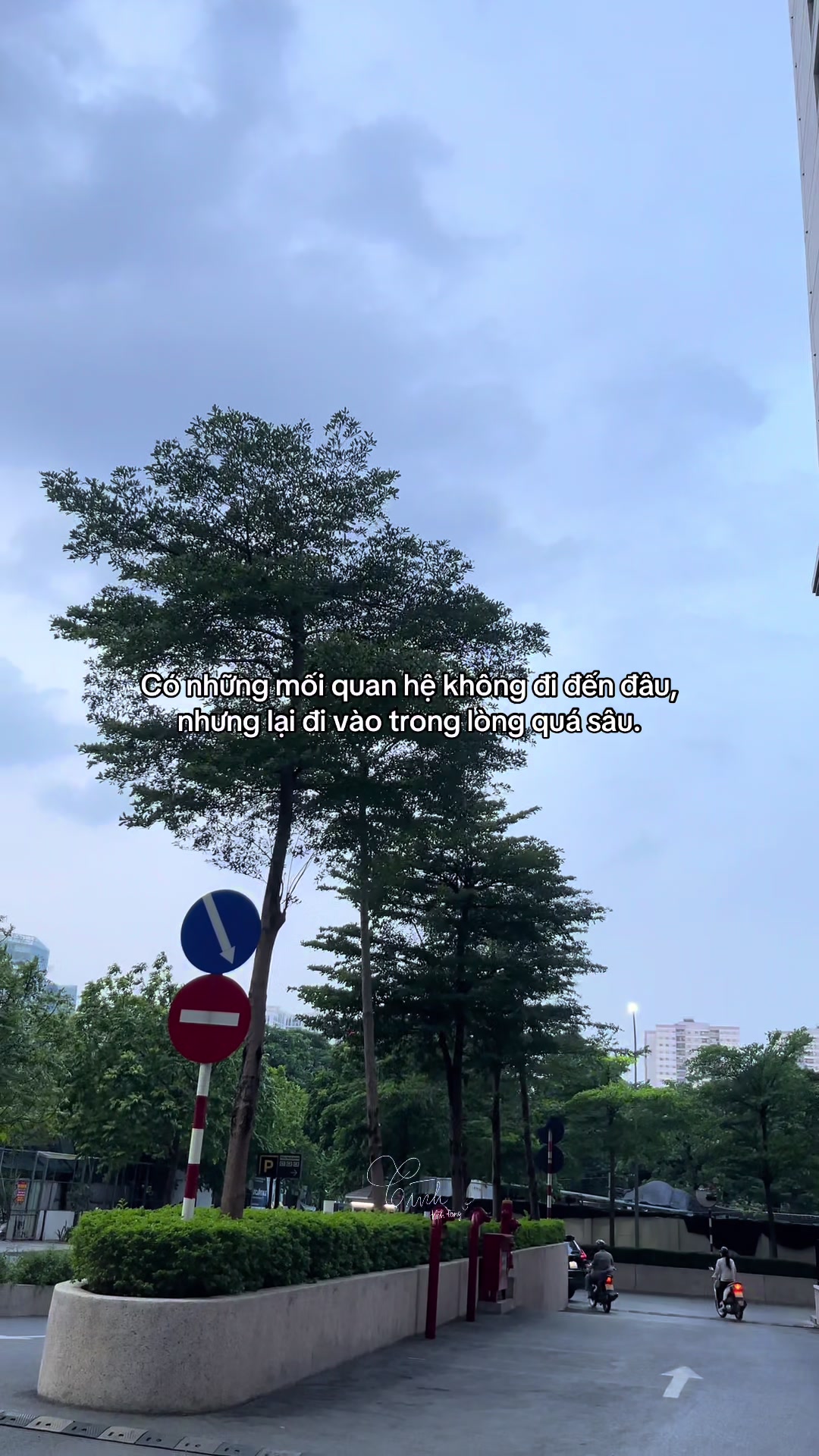 @Reels của T&igrave;nh 🫧
