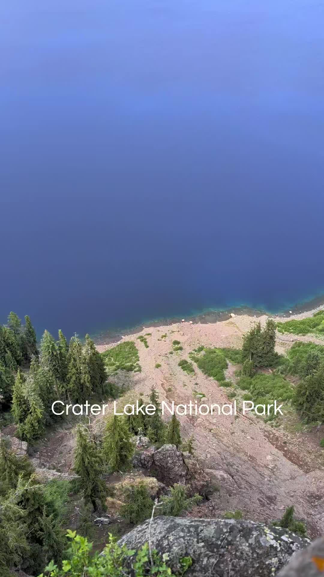 @PLANTchatterr