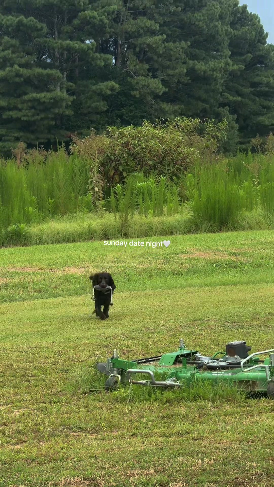 @𝐸𝑀𝑀𝐴 𝐵𝐸𝐶𝐾 𝑀𝐼𝑁𝑇𝑍