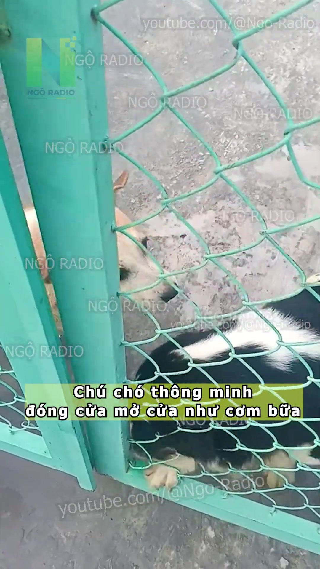 @Tiểu V&acirc;n Y&ecirc;n
