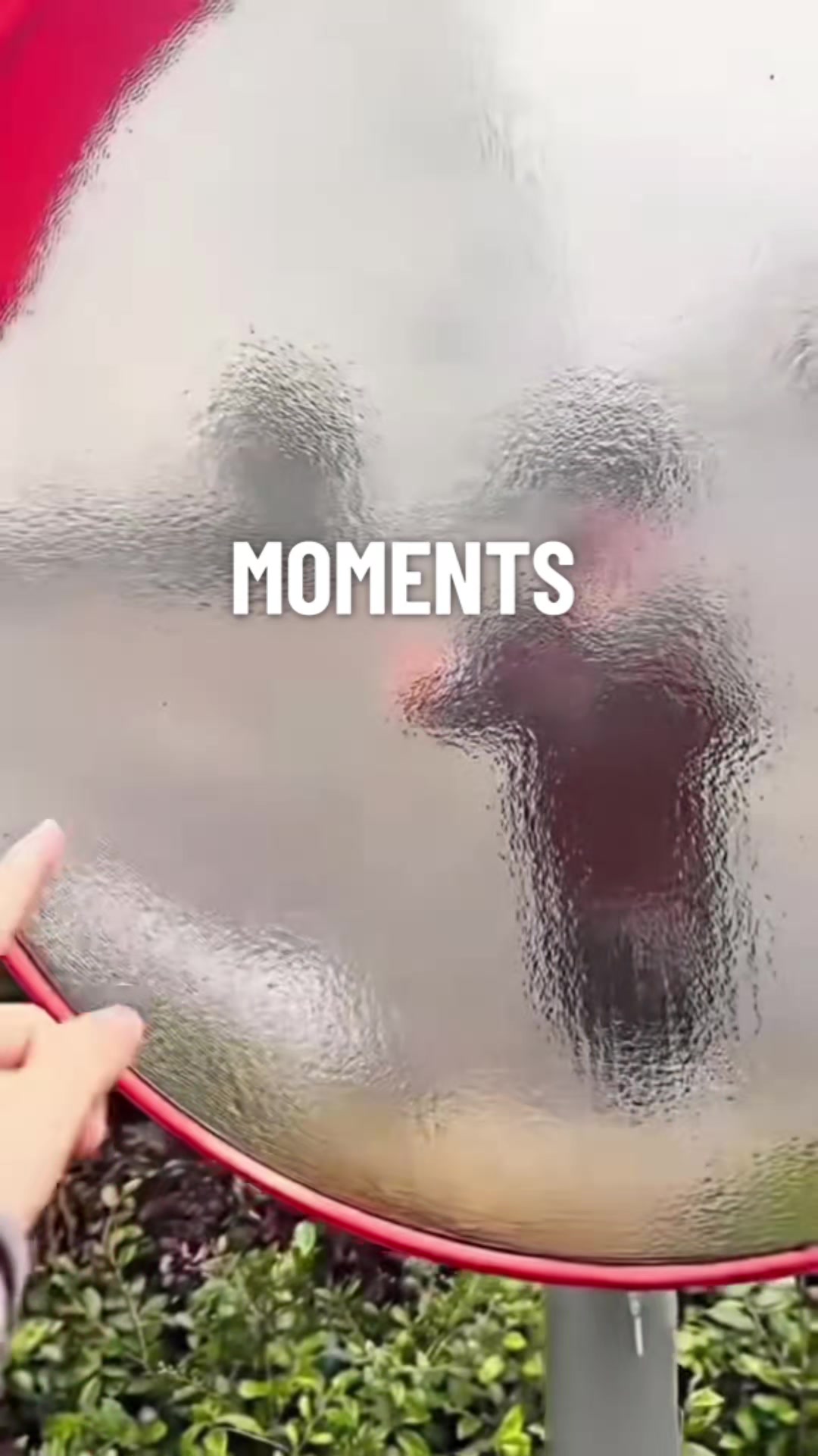 @schapenfokkerij l.kammeraad