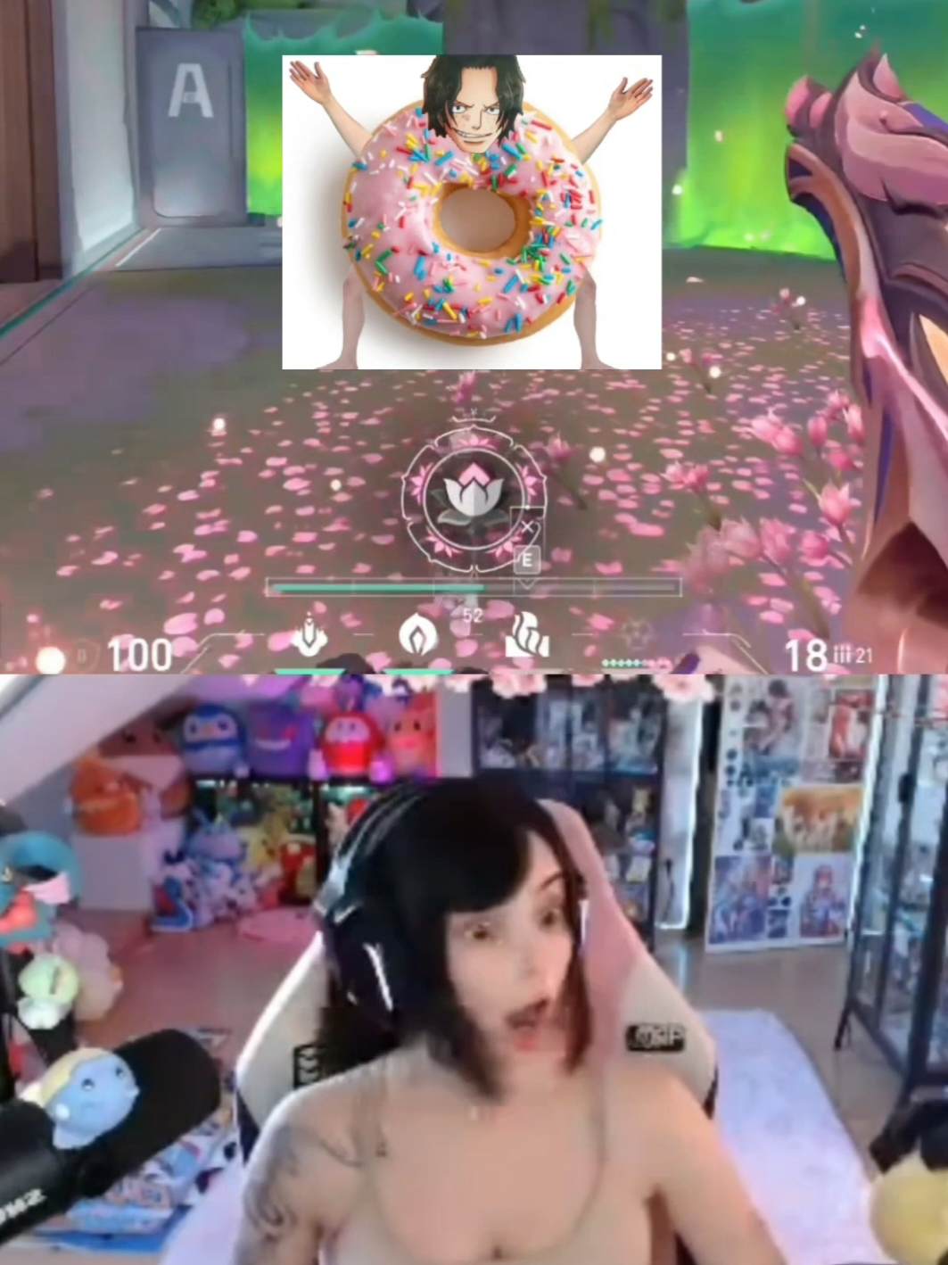 @Dangobanni 🐇🌸