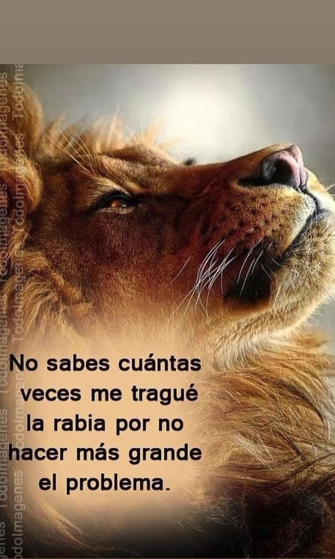 @🐄 Tus 🐻faboritas58🧸 🐎