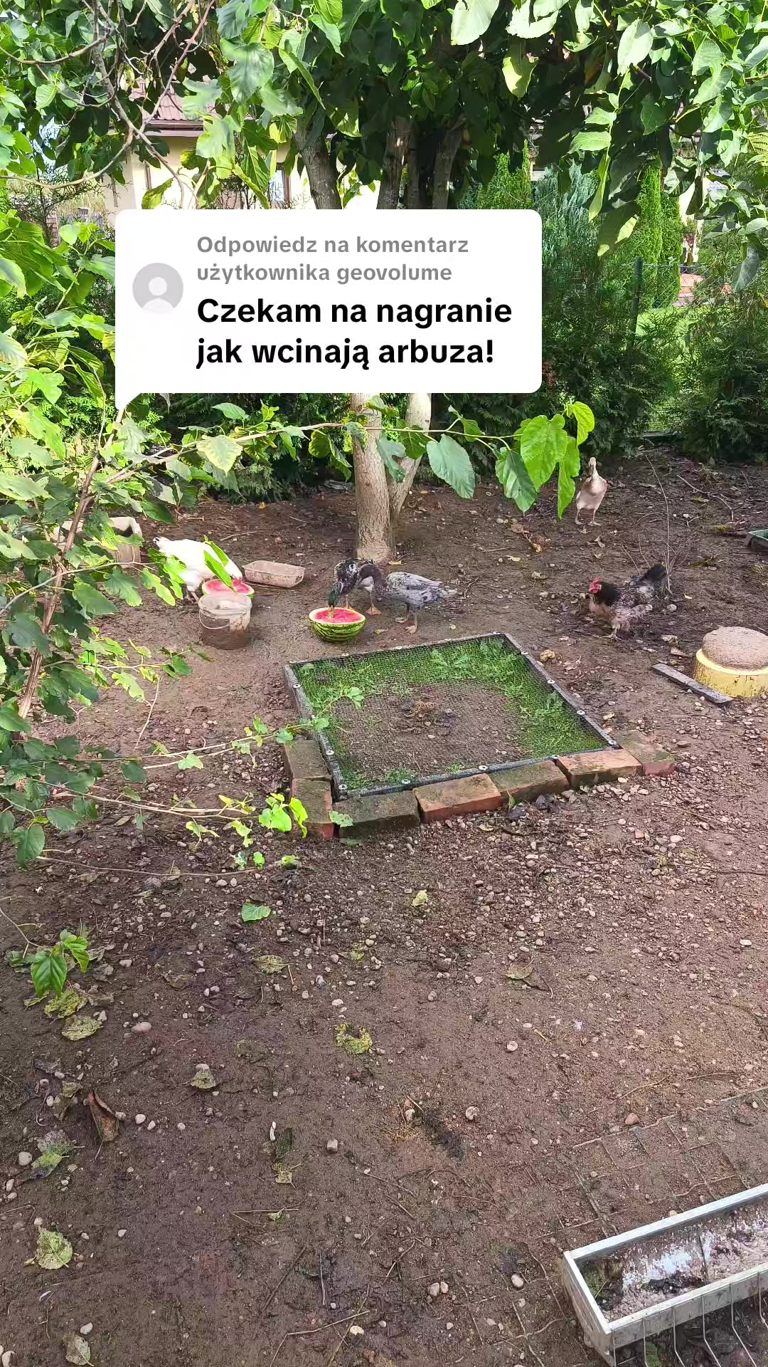 @Marcin ogrodnik