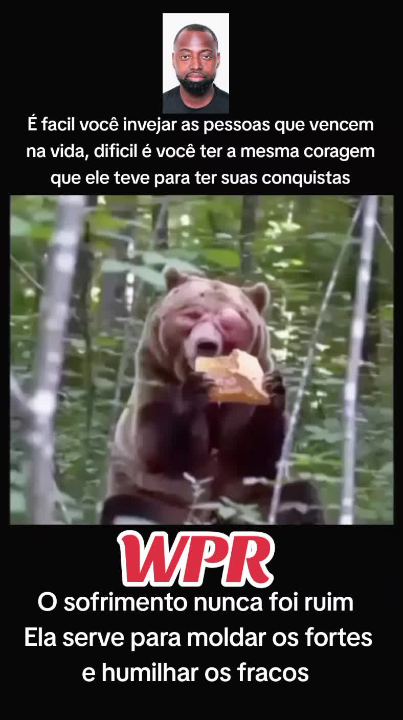 @Wilson Papo Reto