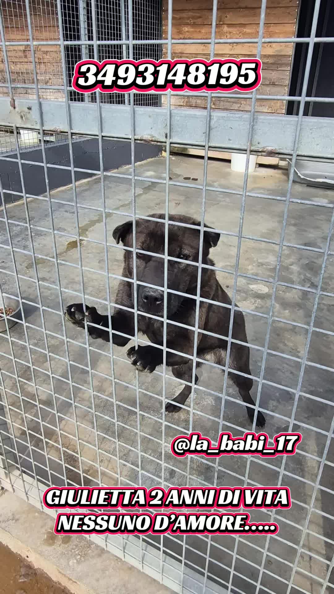 @la_babi_17