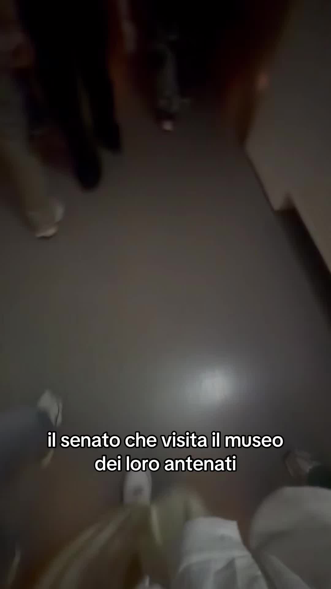 @miglior_senato