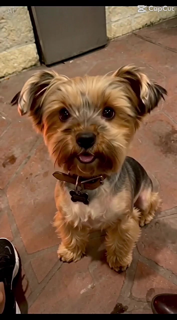 @Angie | Lifestyle Creator✨