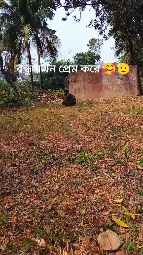 @রাকিবুল ইসলাম {(বোকা চৌধুরী)}