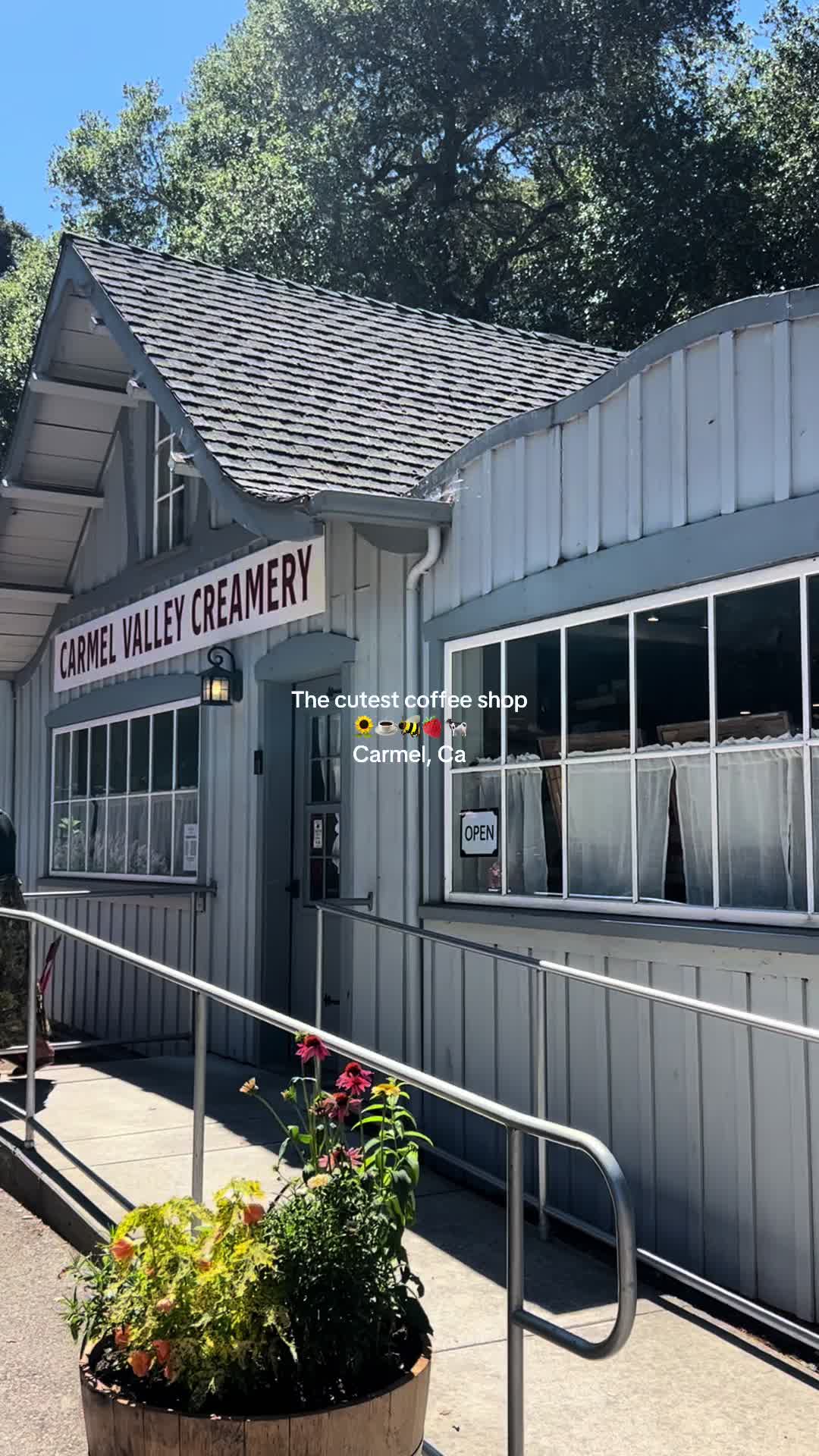 @laneyjepson