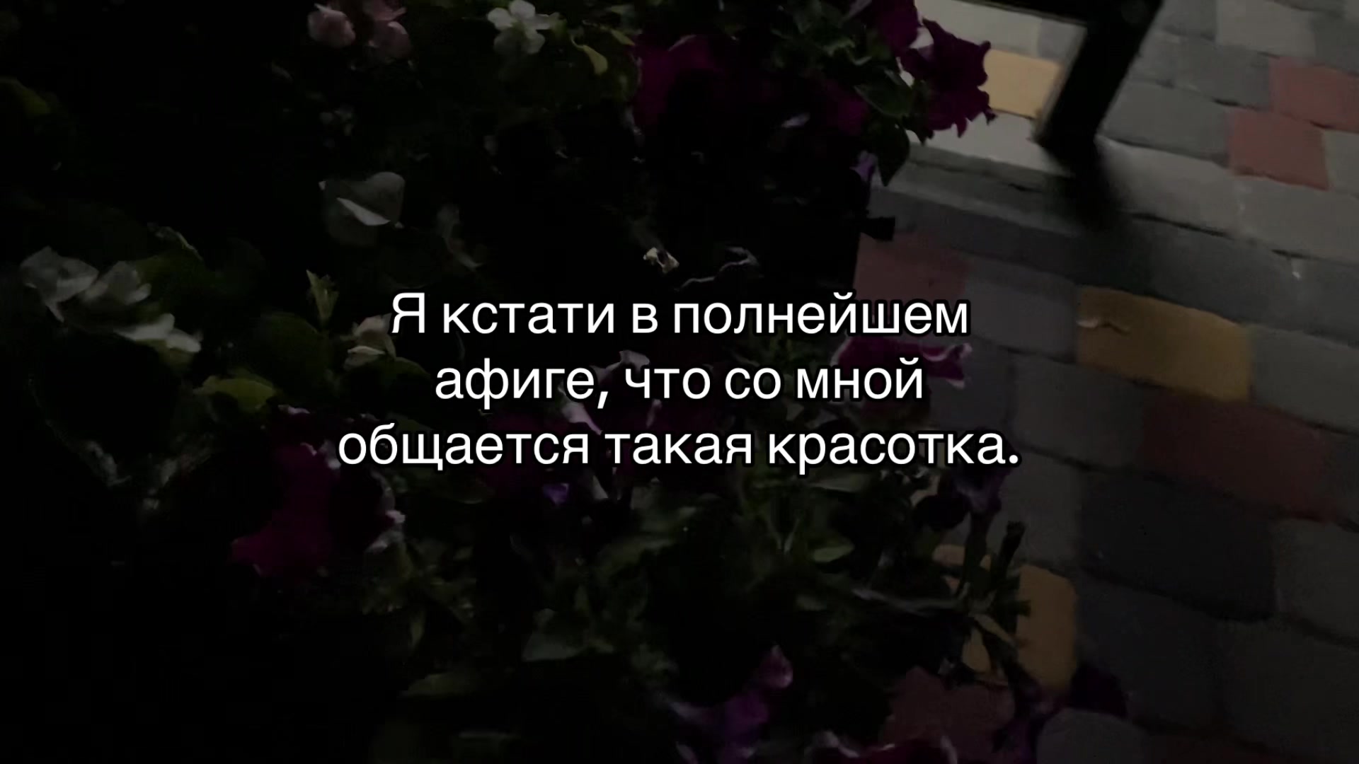 @ミ♡ You're stunning ♡ミ