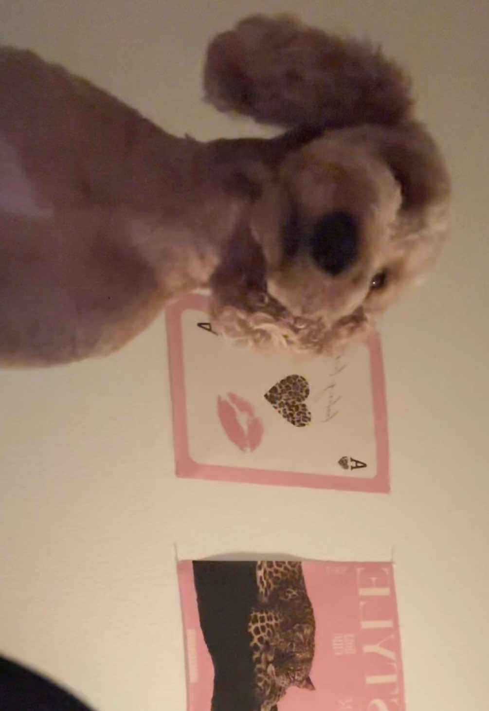 @❣️