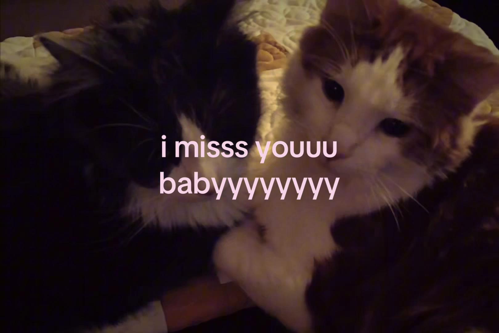 @sxalenz