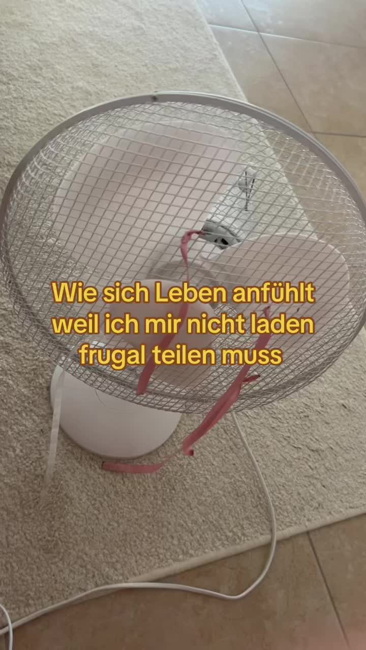 @ๅฐบๅฏธ๐ญ