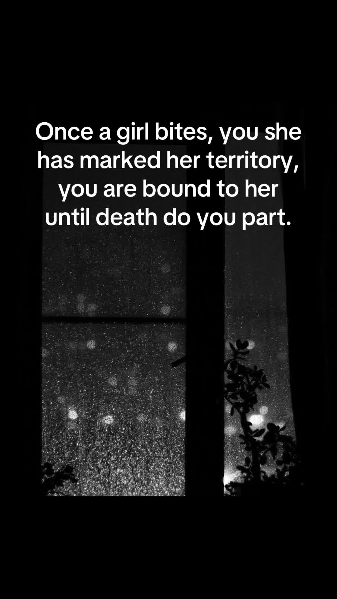 @Lady Lisa 🖤