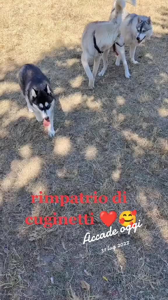 @Marco Bianchi7765