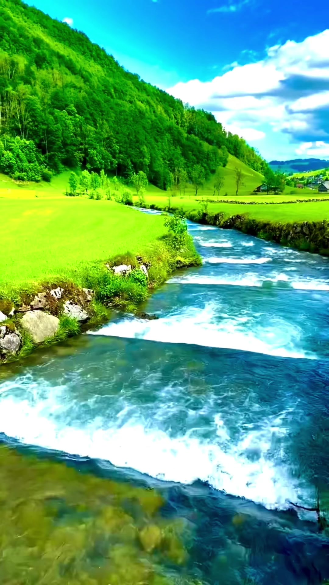 @S̳w̳i̳s̳s̳🇨🇭s̳c̳h̳w̳e̳i̳z̳