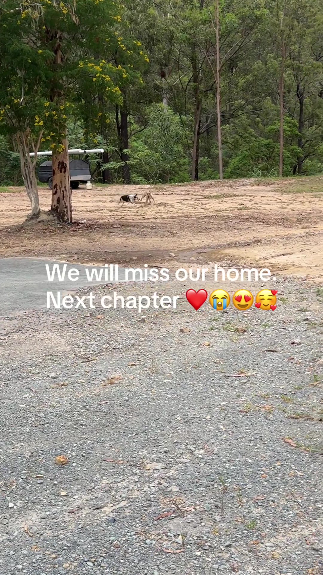 @🇦🇺🇦🇺🇦🇺🇦🇺🇦🇺✝️✝️✝️✝️✝️
