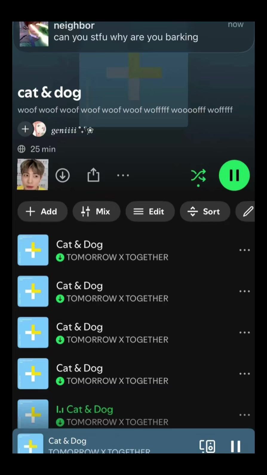 @cortis_xtogether