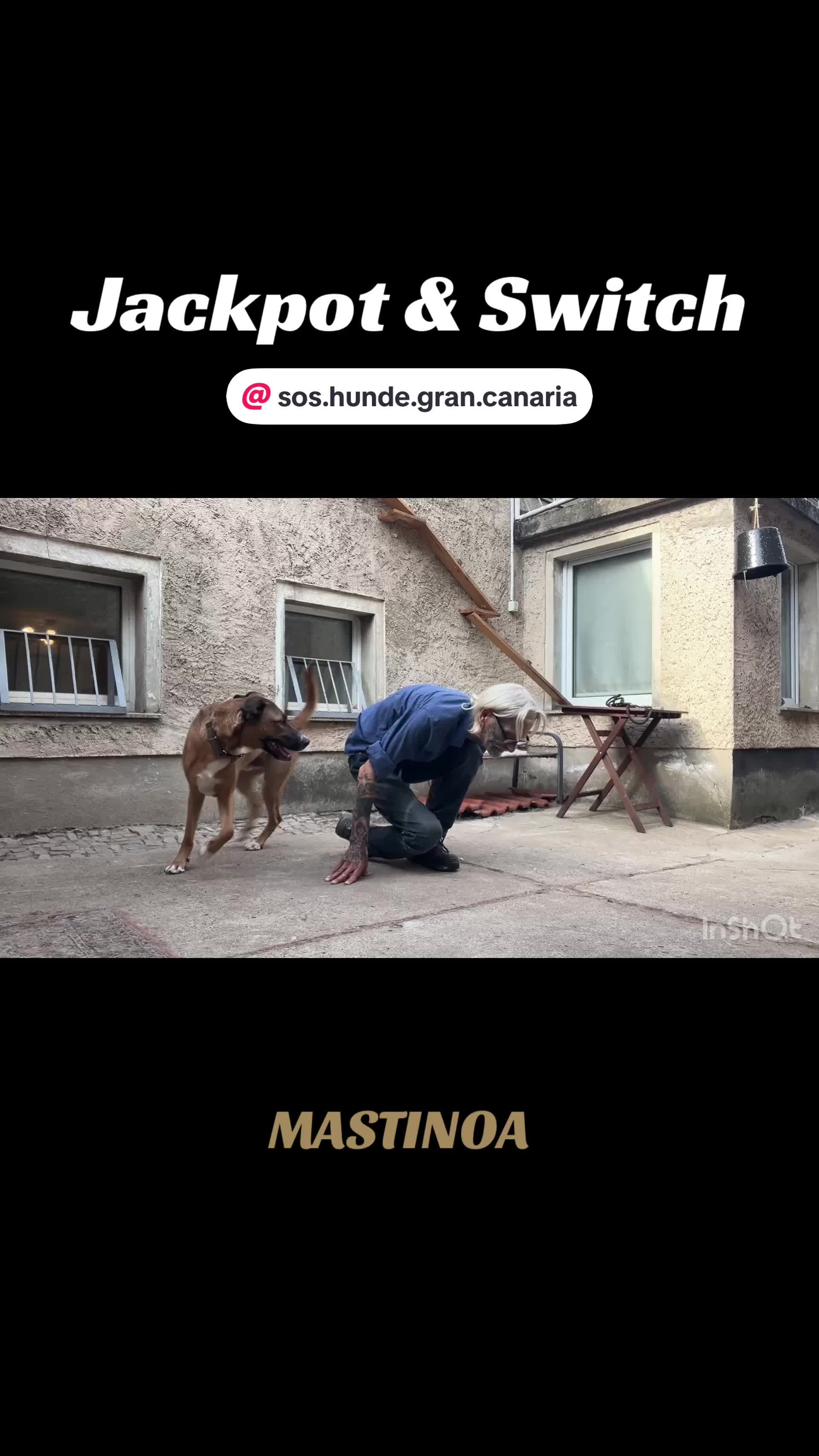 @MASTINOA pro
