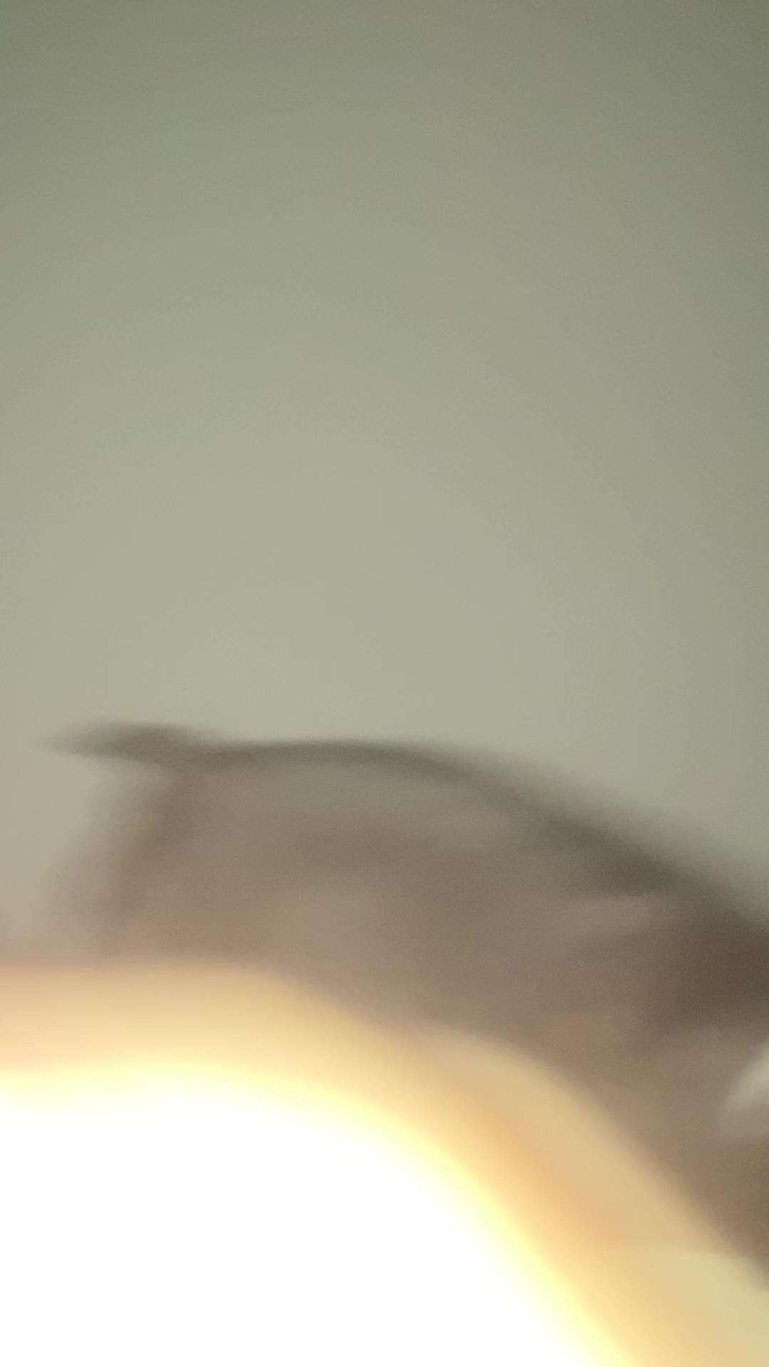 @𝔹𝕖𝕥𝕙 𝔸𝕚yana❌