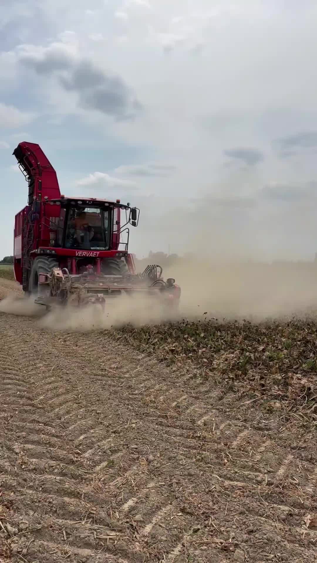 @TEO93.AGROTECH
