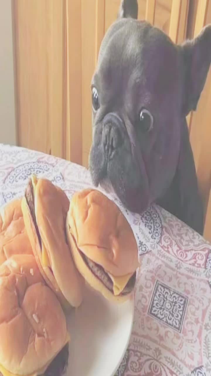 @·★𝓼𝓱𝓲𝓷★·