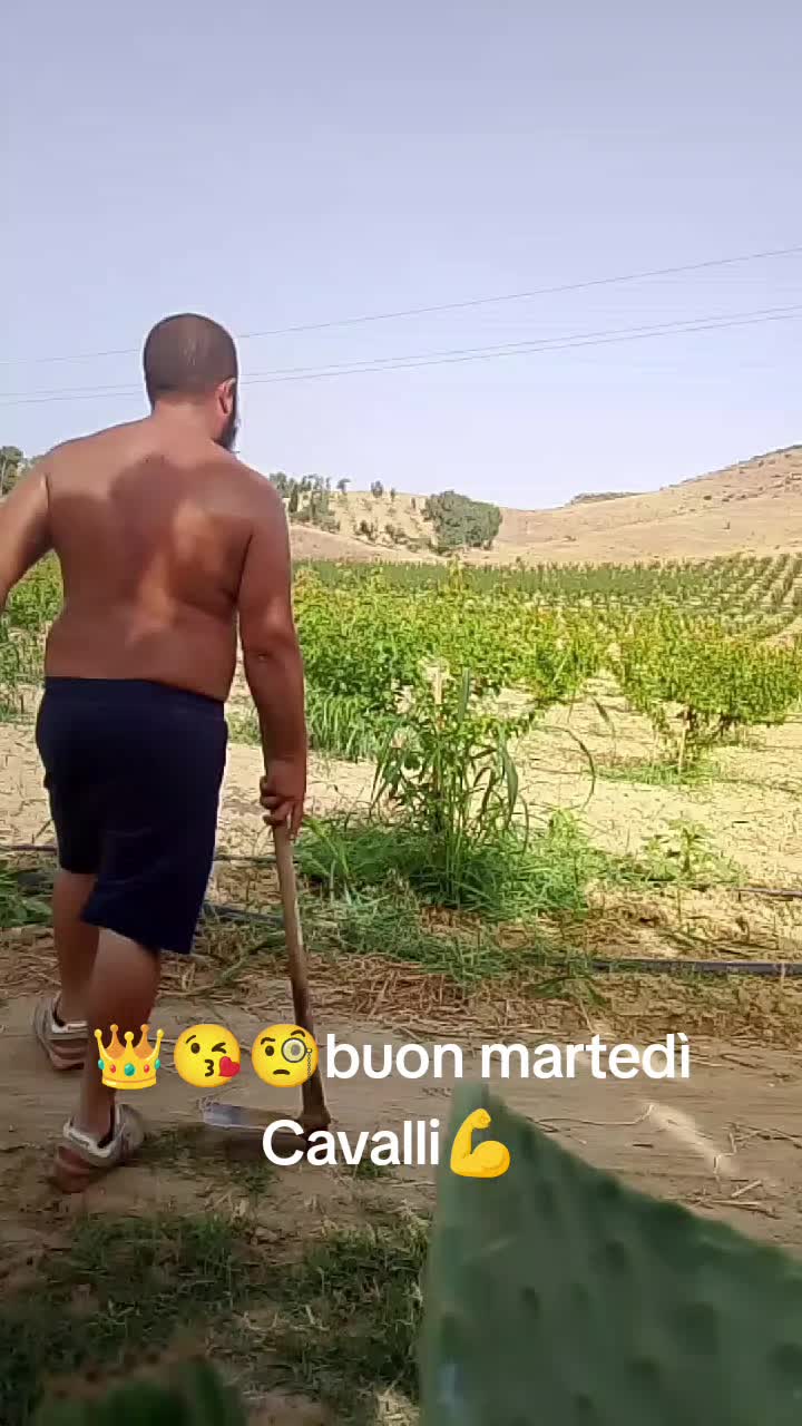 @Stefano Zagara