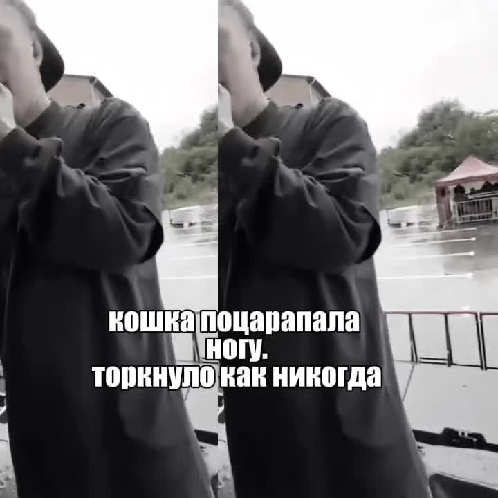 @мс полинк