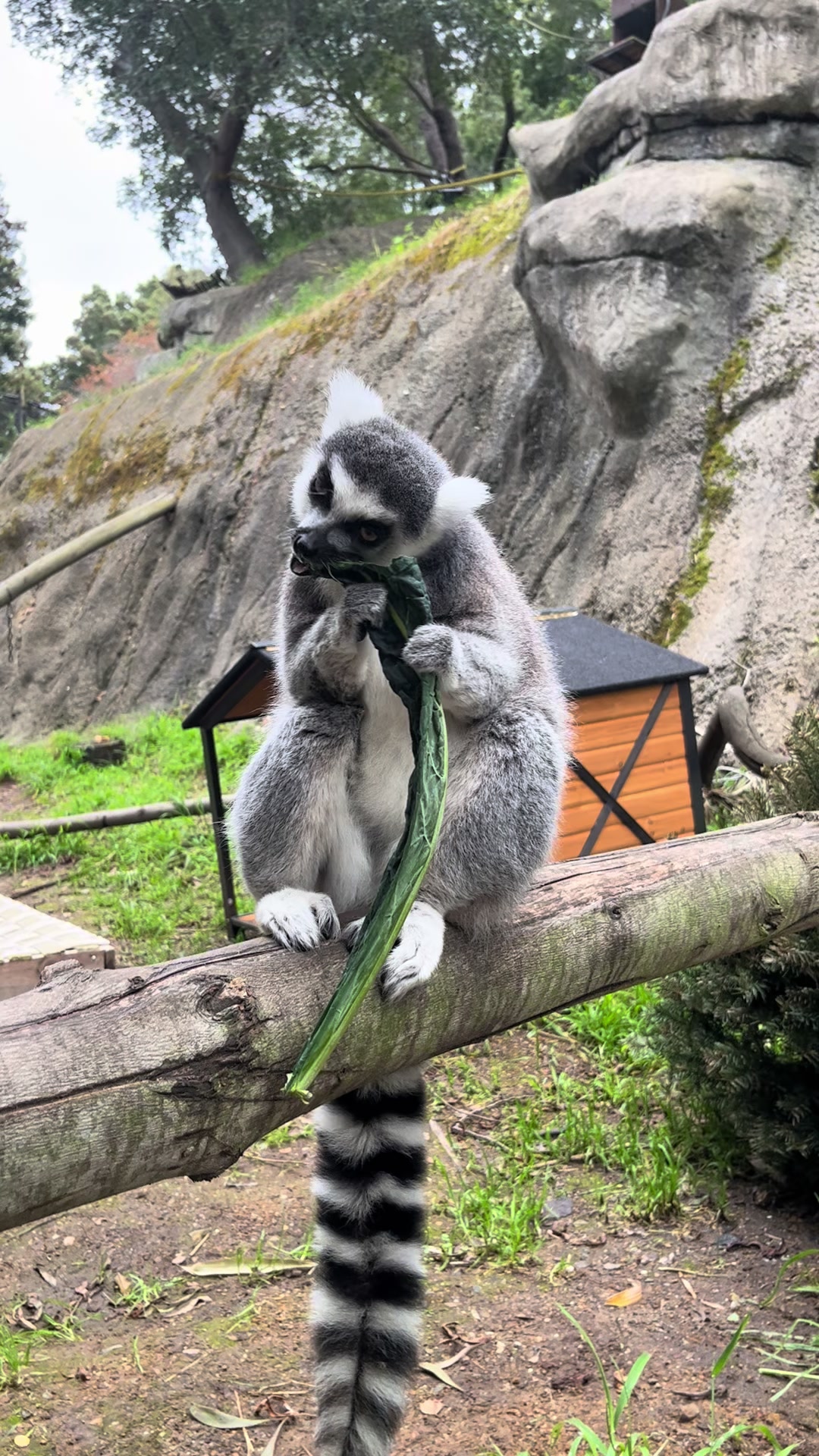 @Oakland Zoo