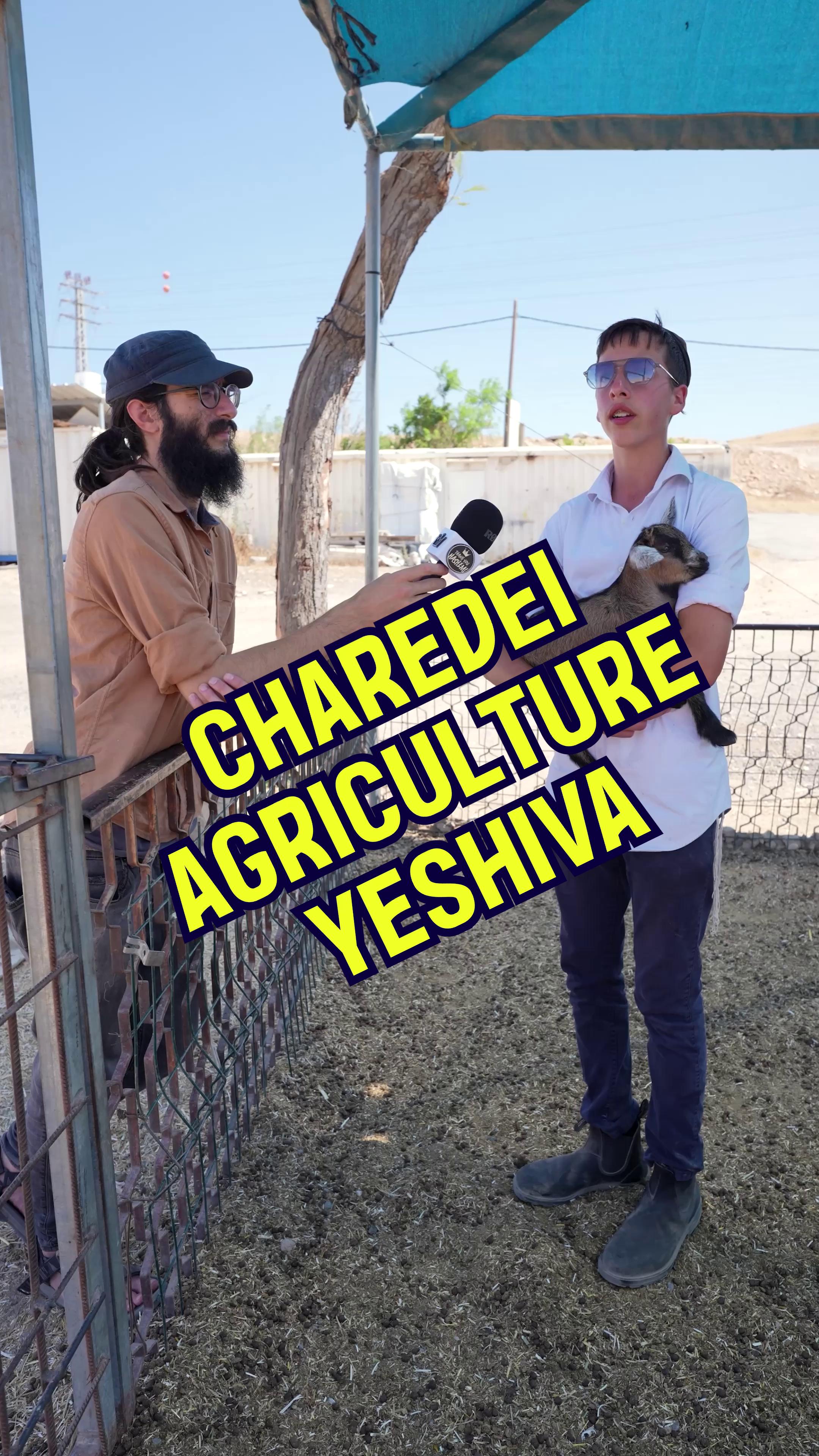 @Thank You Hashem