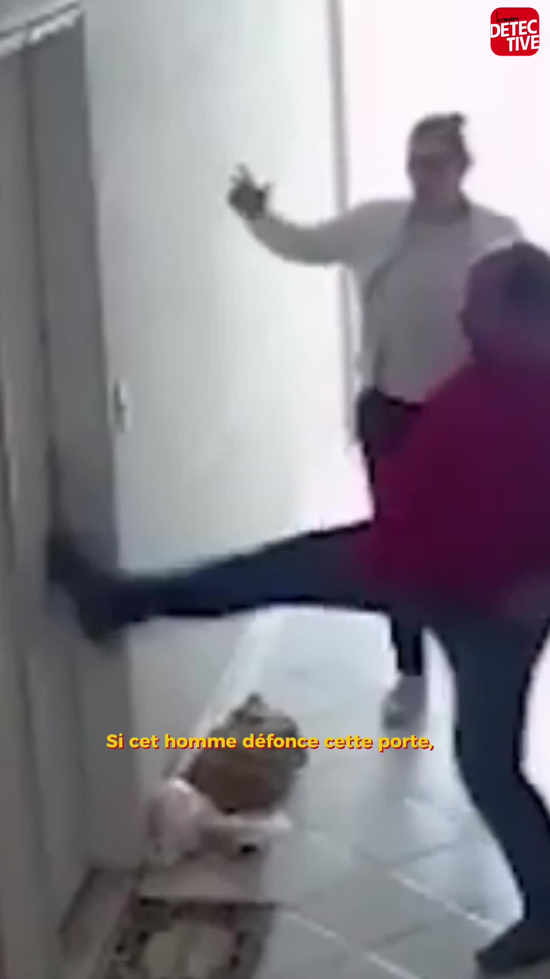 @lenouveaudetective