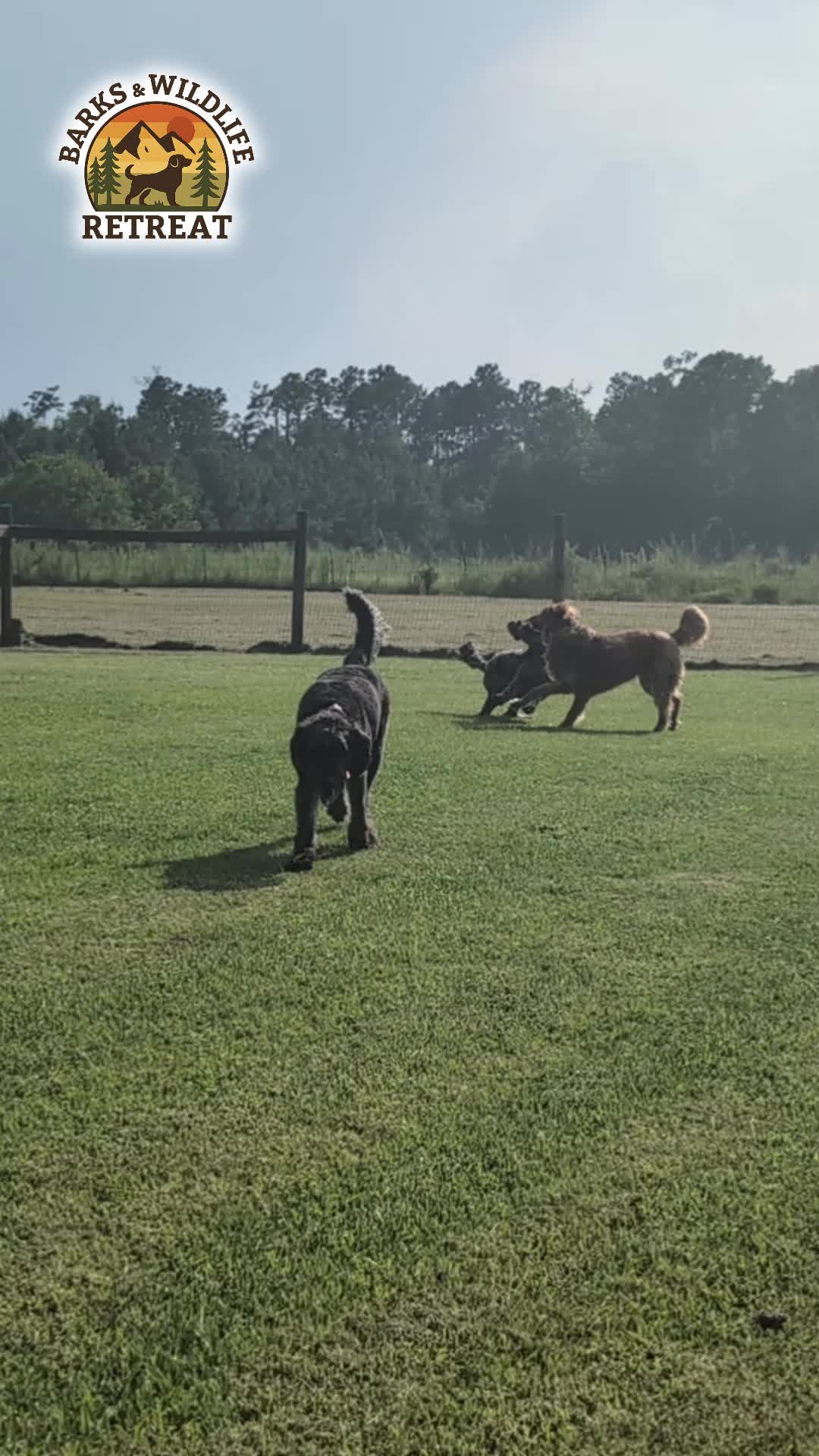 @Barks & Wildlife Longville LA