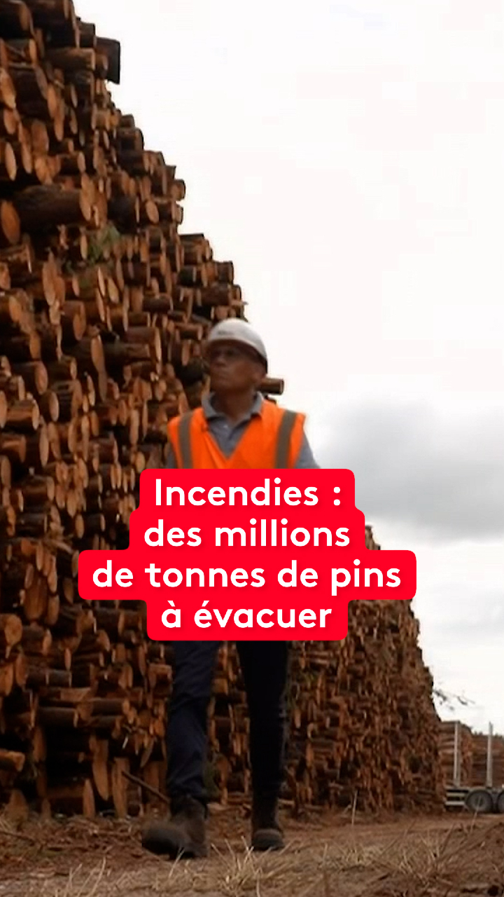 @le20hfrancetelevisions