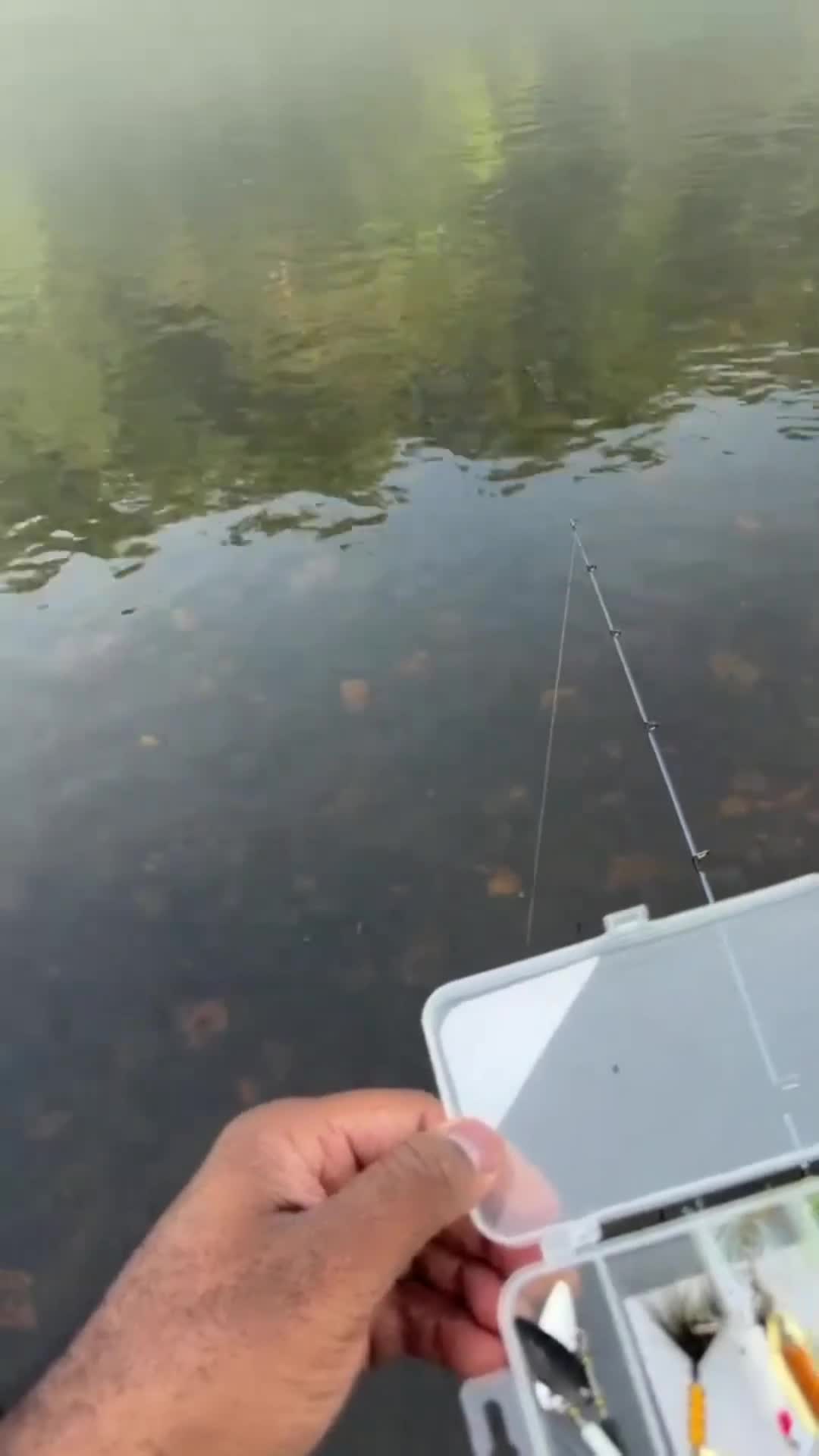 @LOVELACE 🎣
