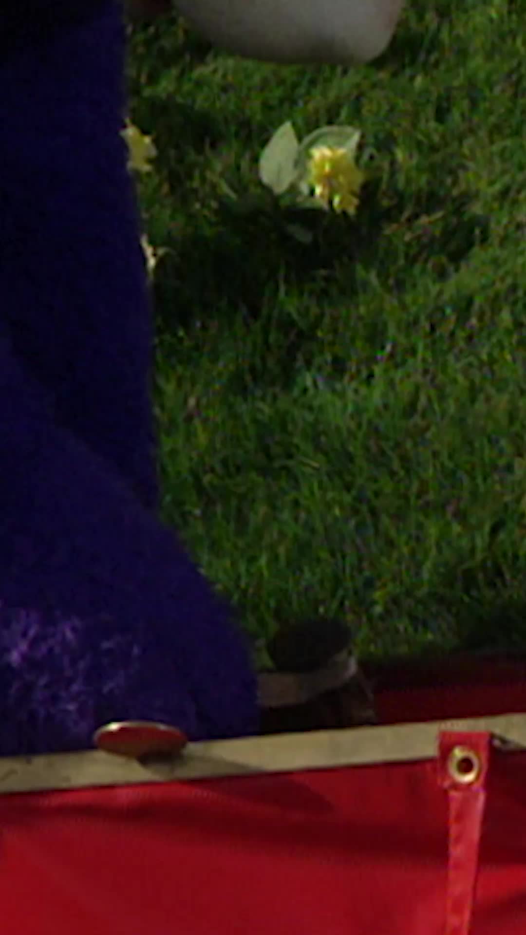 @Teletubbies HQ