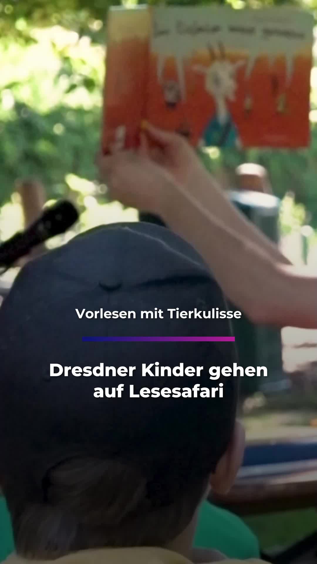 @Sachsen Fernsehen