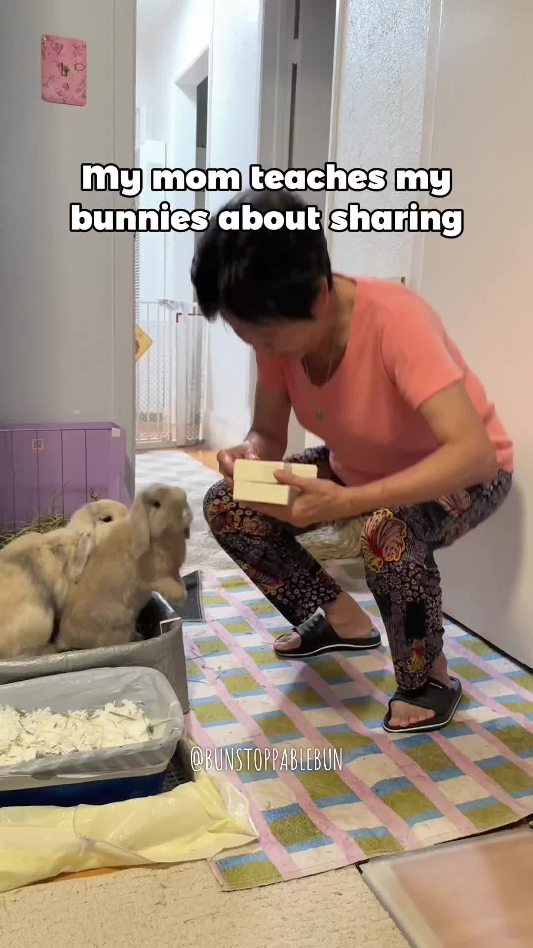 @BunBun, Mochi🌈, Chewy
