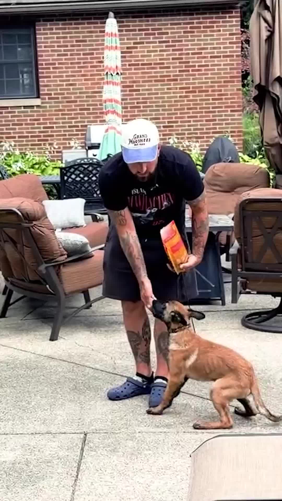 @Miracle K9 Training