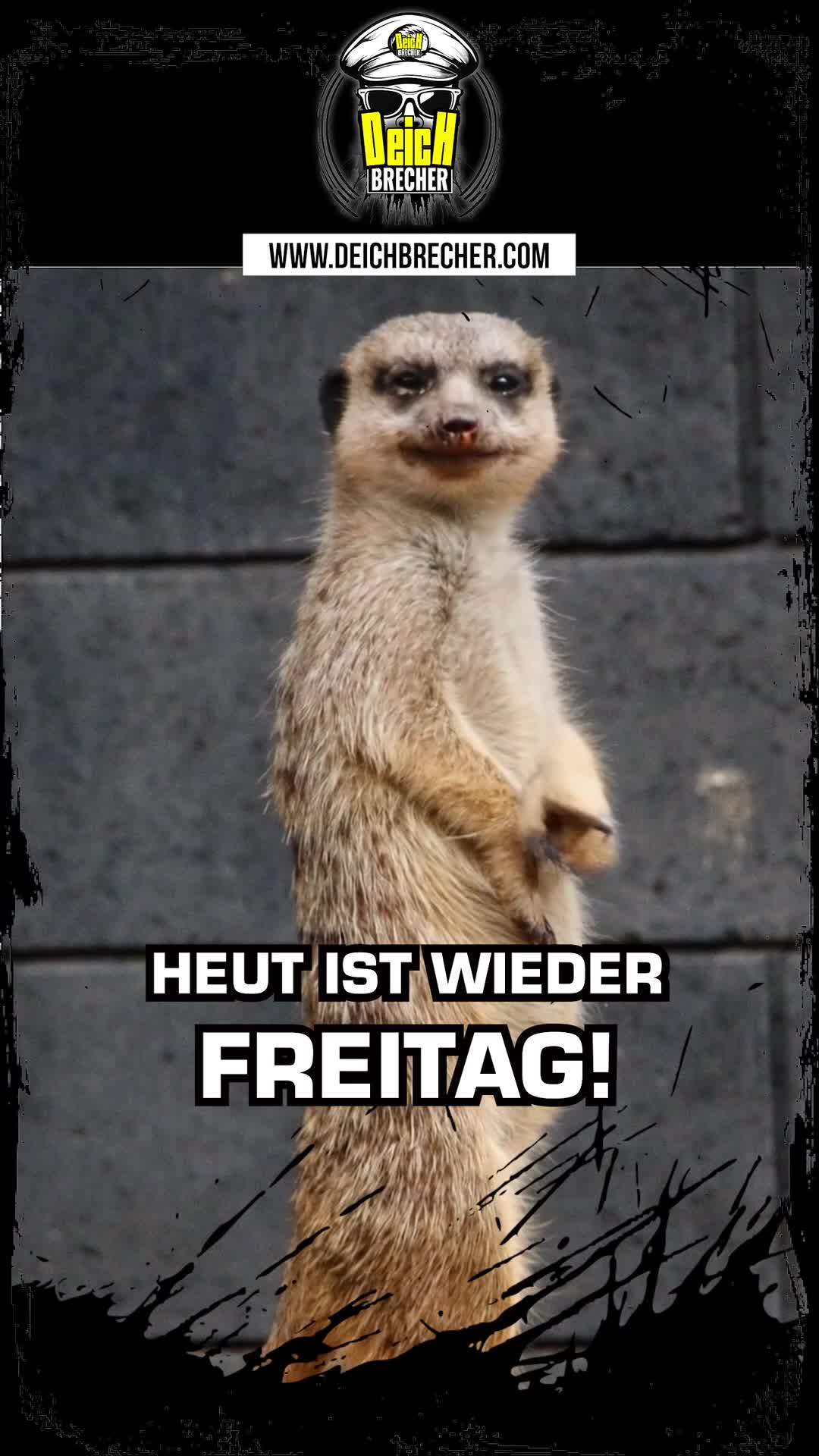 @💣DEICHBRECHER 💣