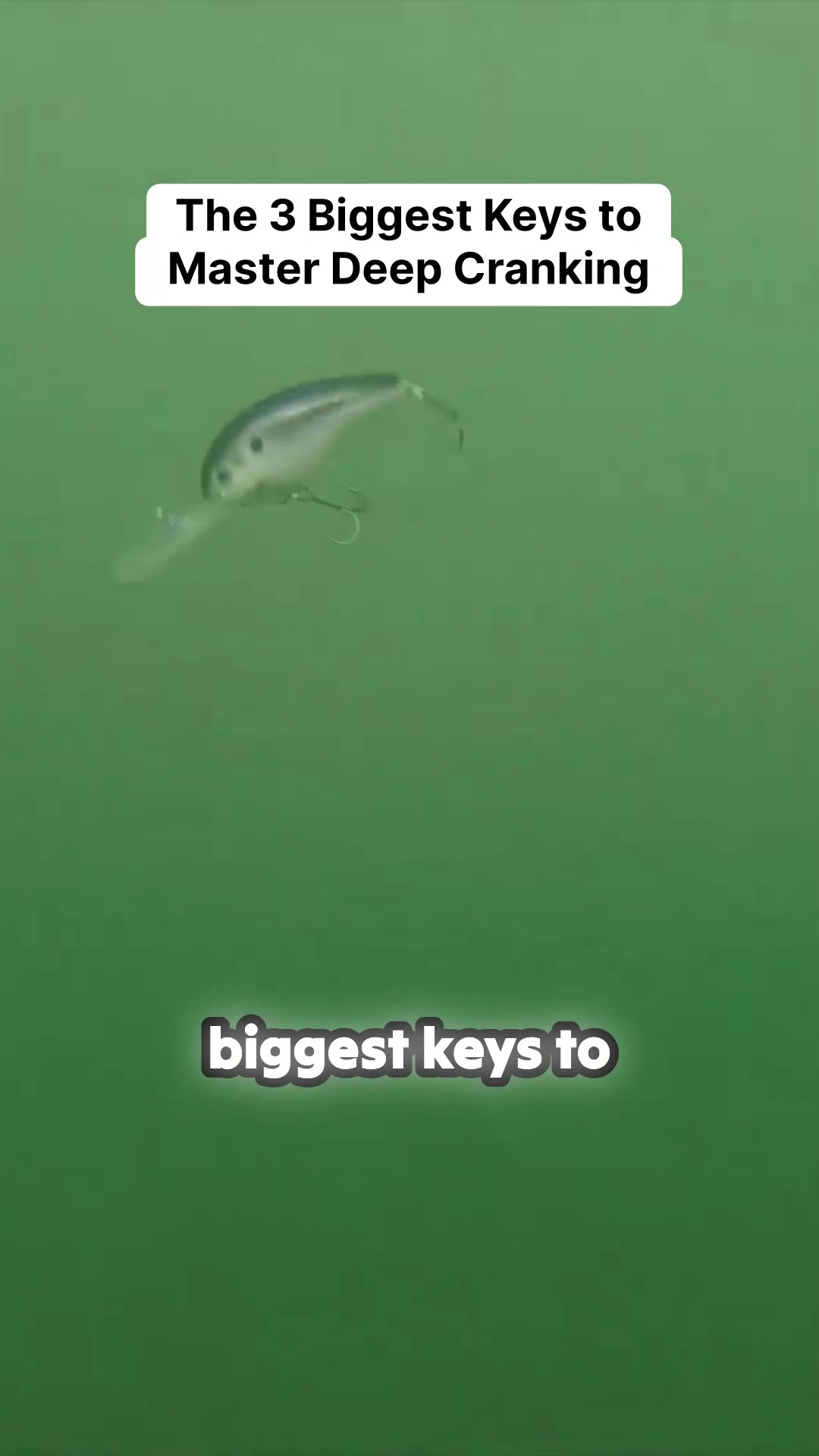 @bassgeek