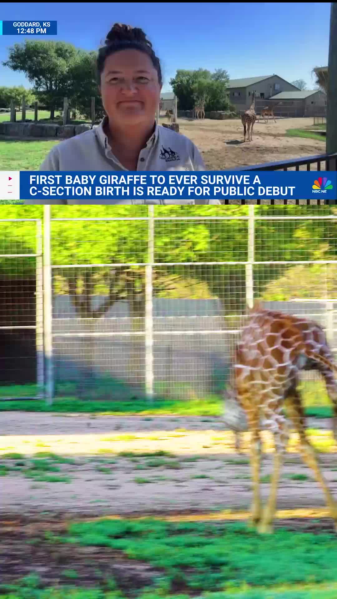@TanganyikaWildlifePark