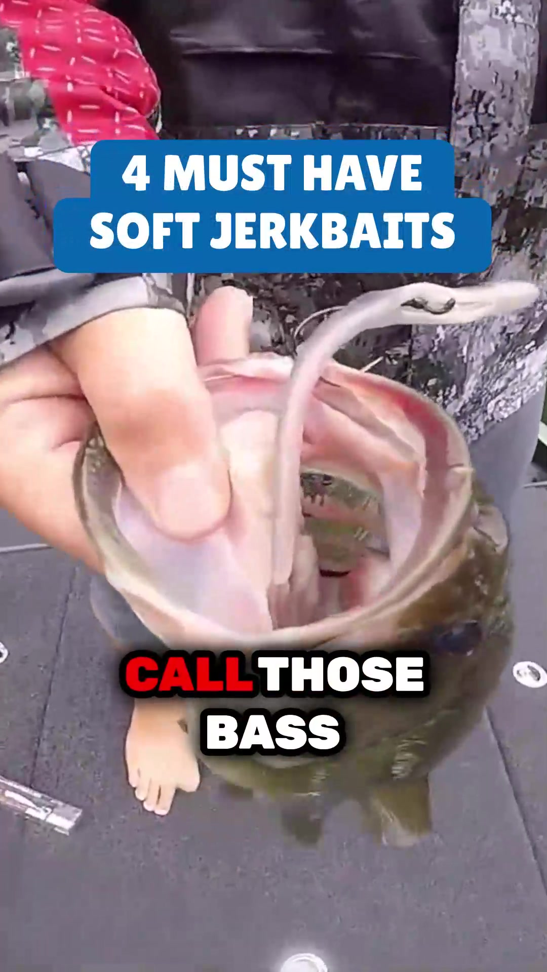 @bassgeek