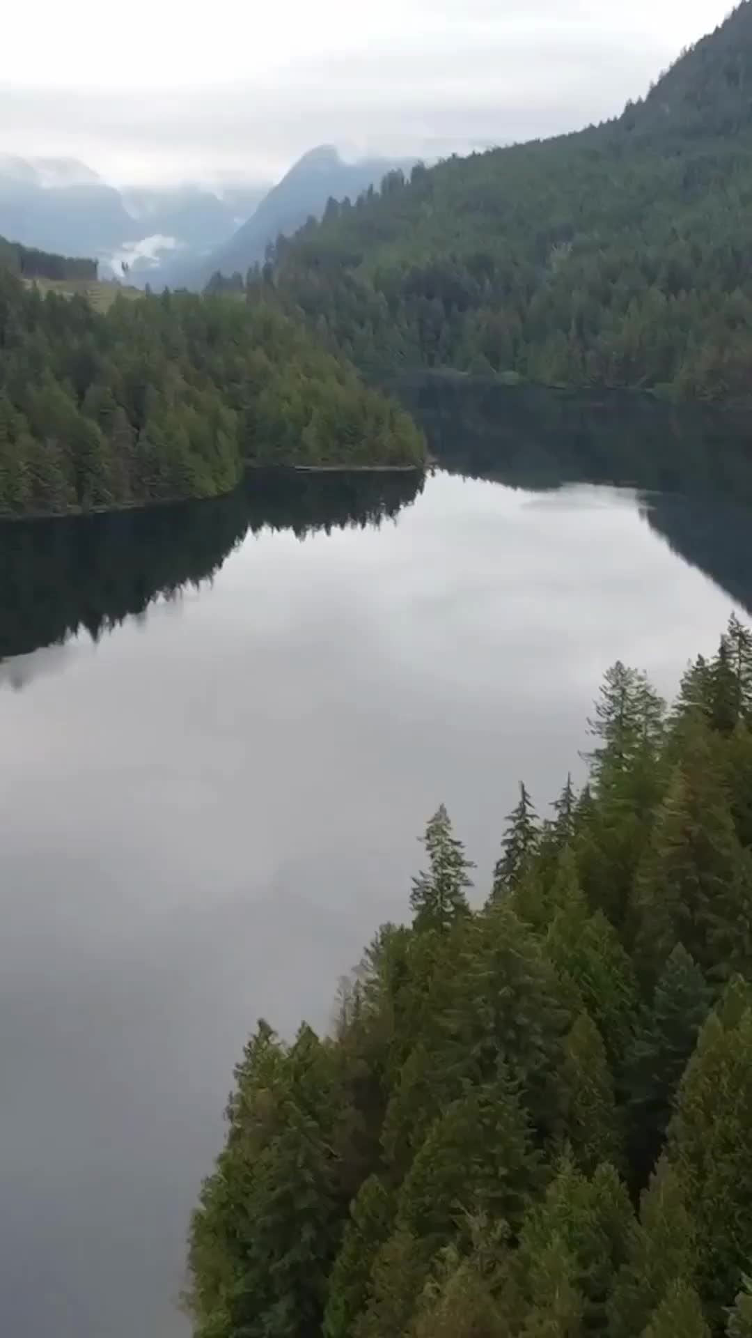 @UBC FES🌲🇨🇦