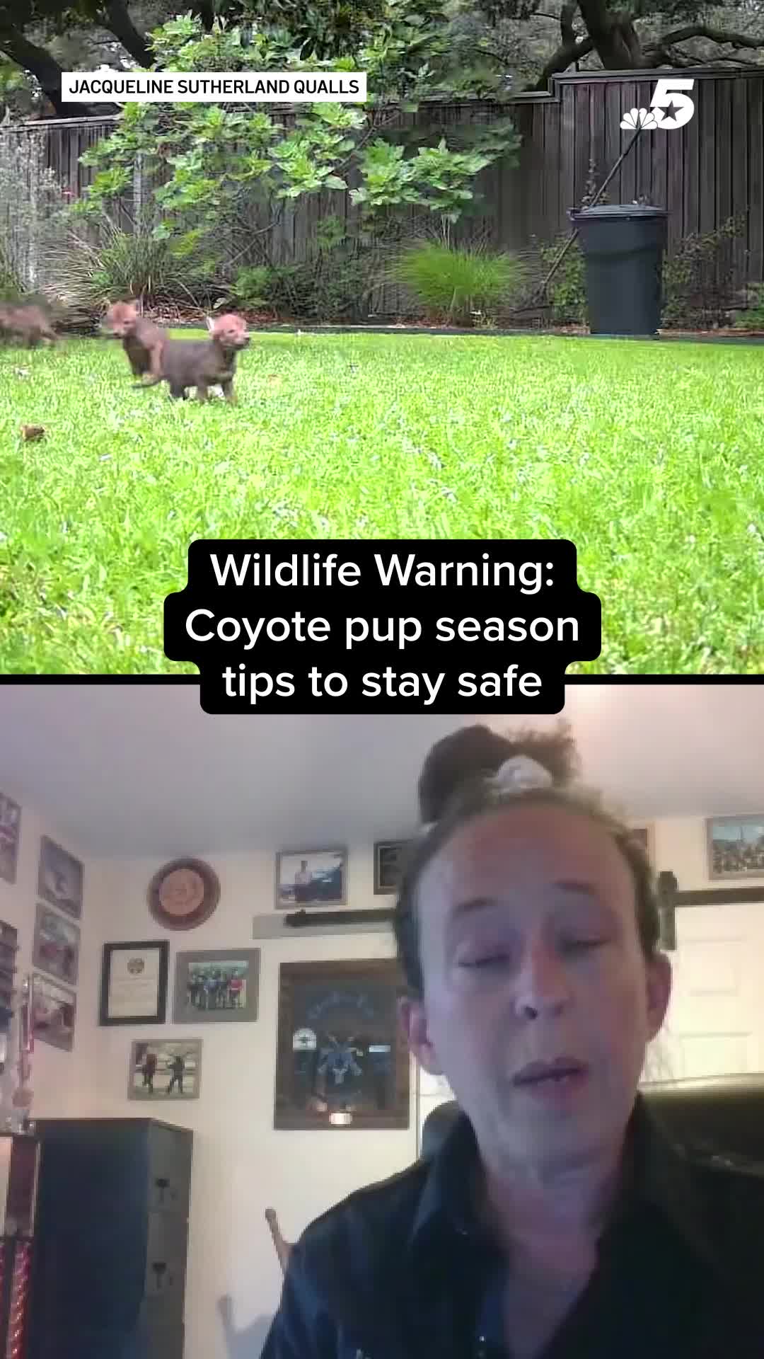 @NBCDFW