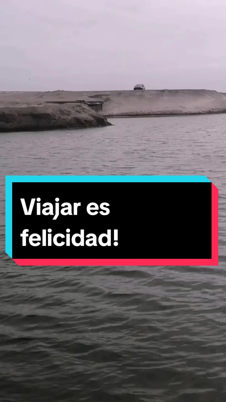 @Ana Maria Camacho