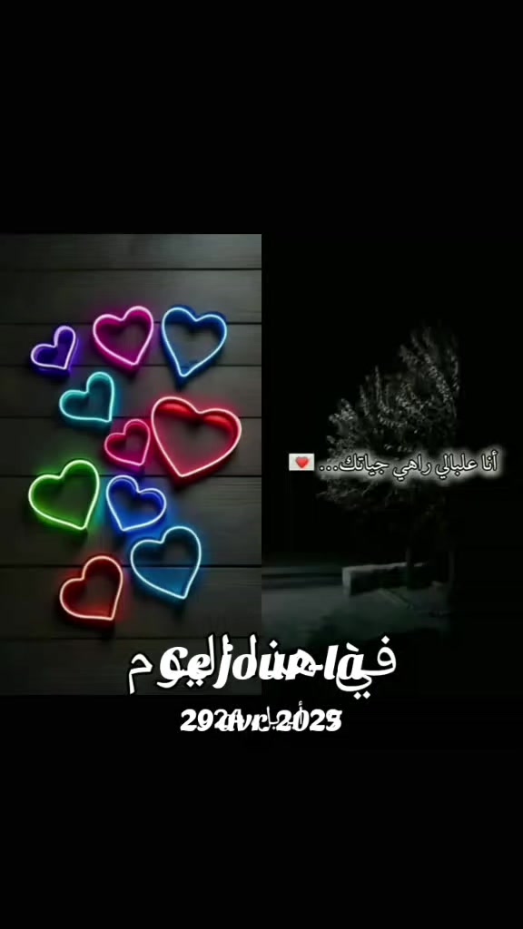 @عاشق لقطط😹