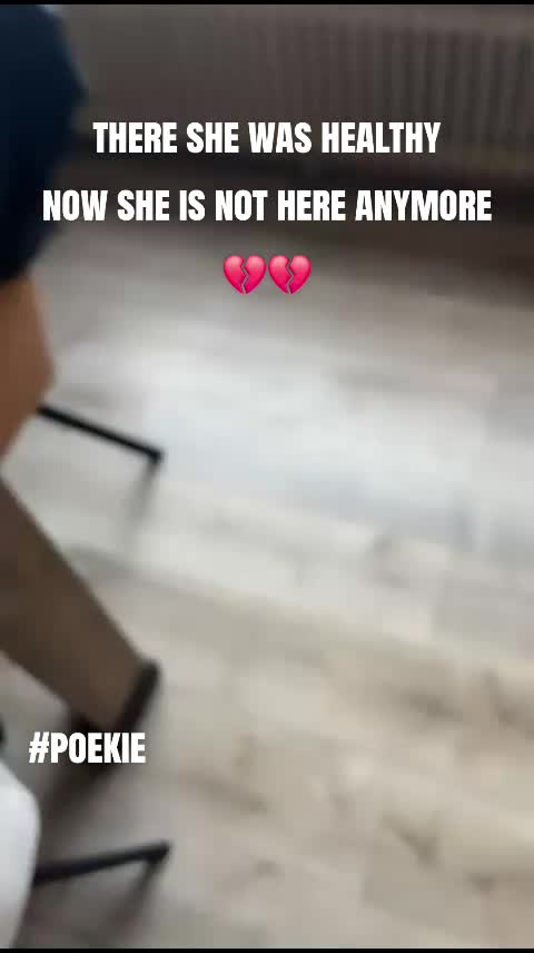 @1ngeh🫴😘