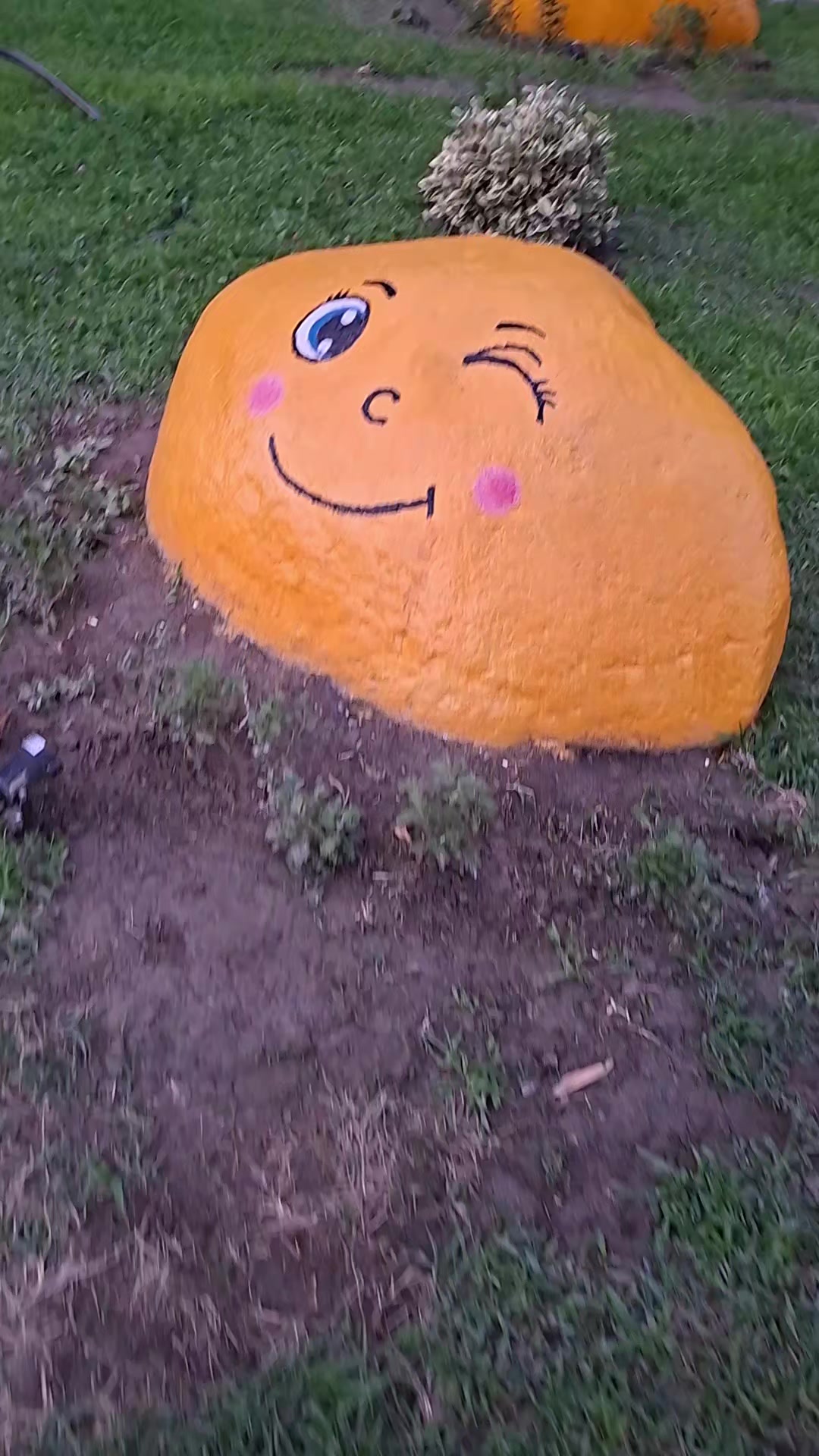 @☘️🌞🌛☘️